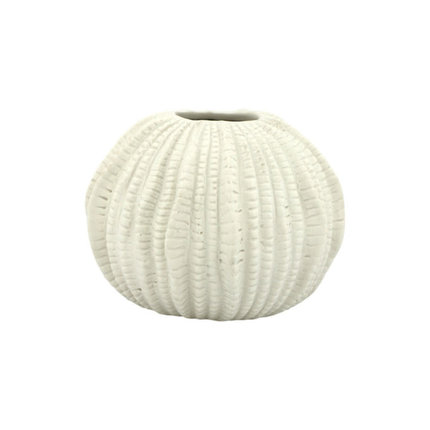 Home Society Vaas Sea Urchin L