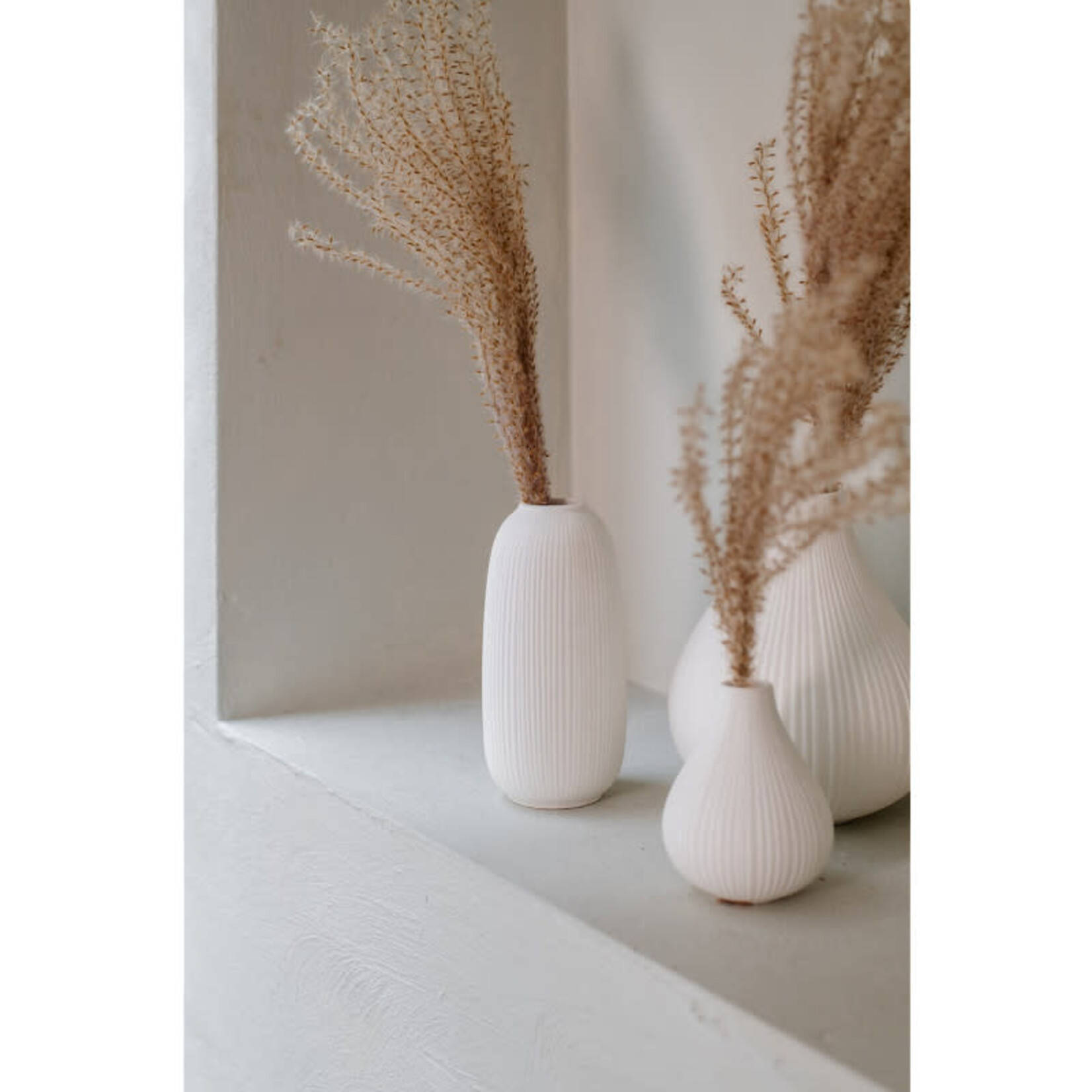 Home Society Vaas Juno Lang