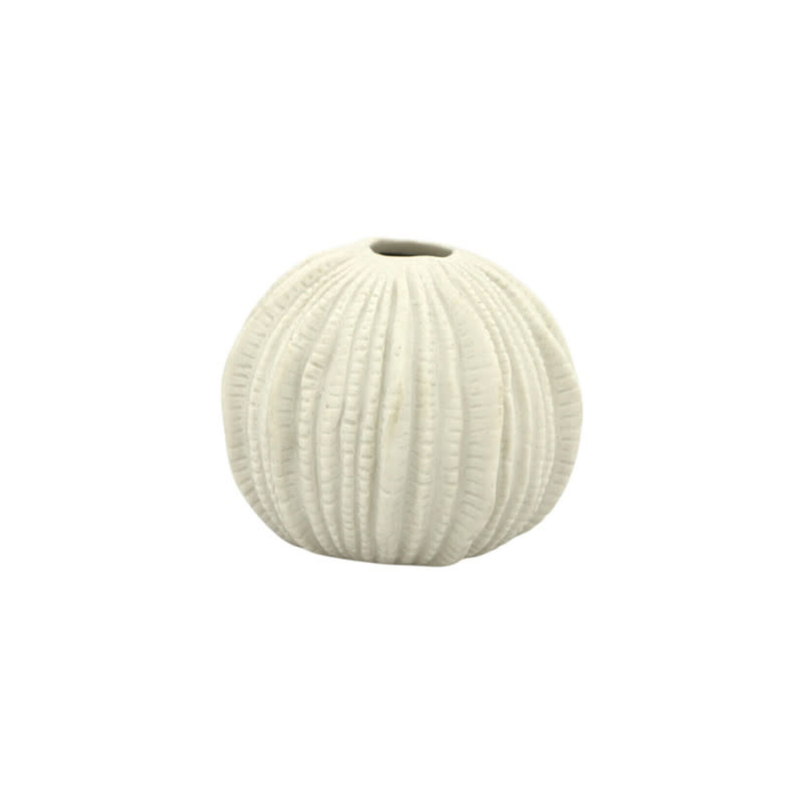 Home Society Vaas Sea Urchin S