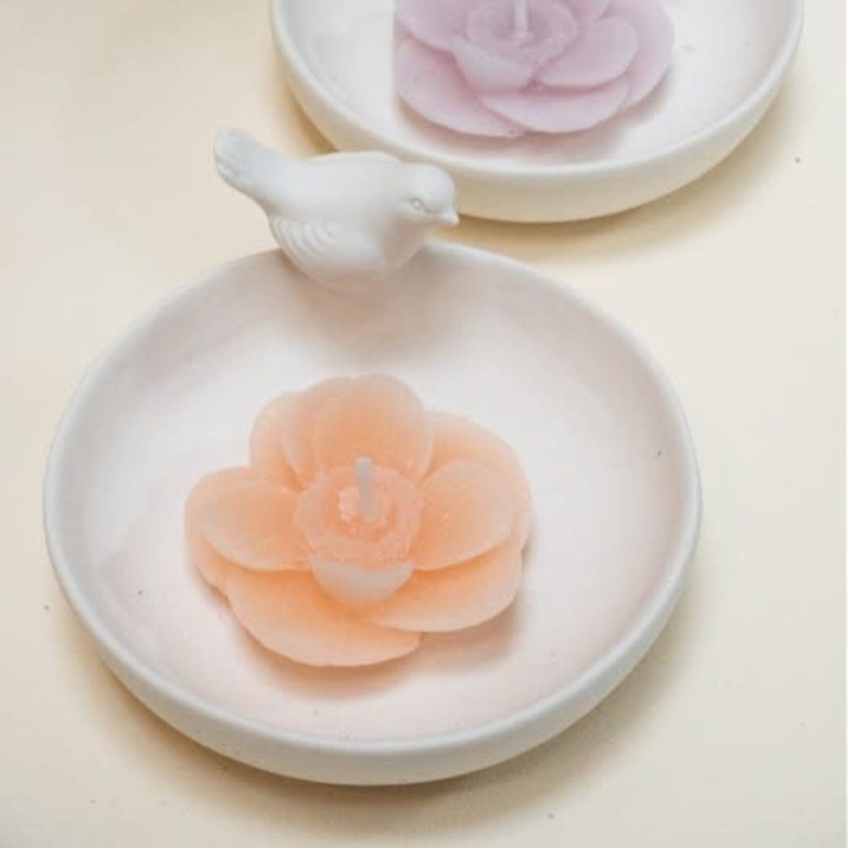 Home Society Schaal Spring Bird