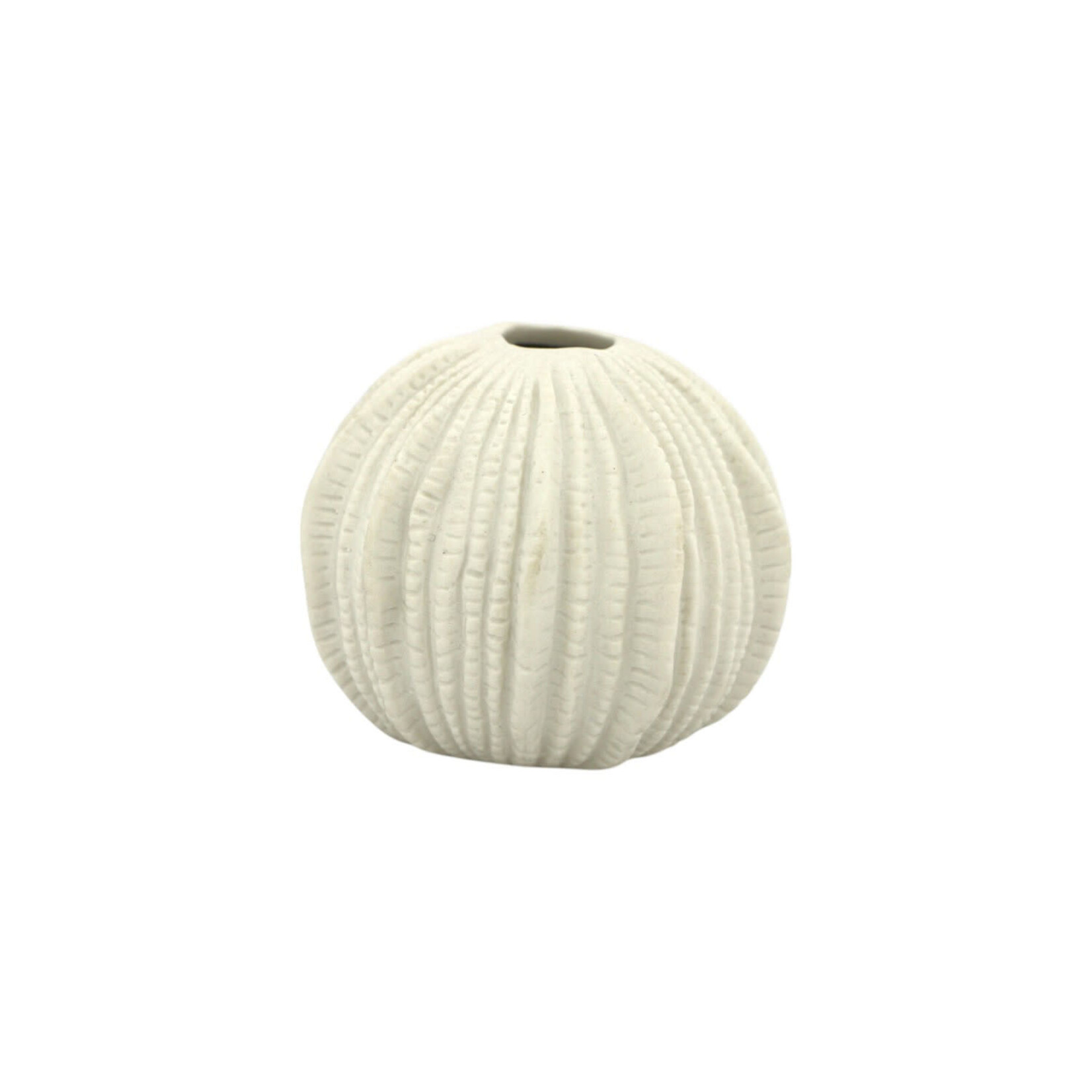 Home Society Vase Sea Urchin S