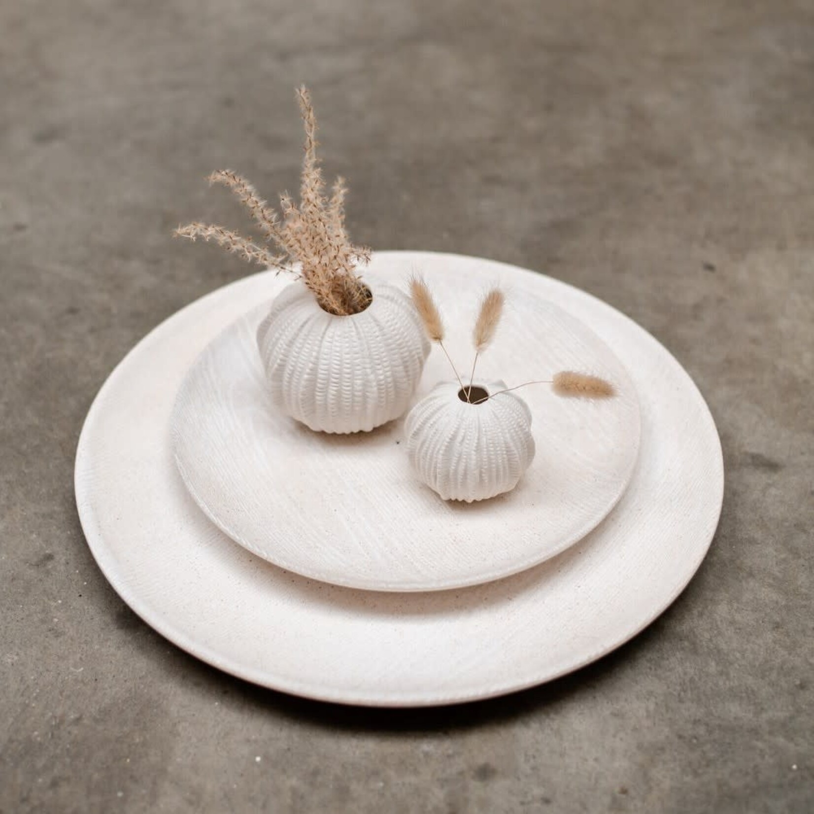 Home Society Vase Sea Urchin S