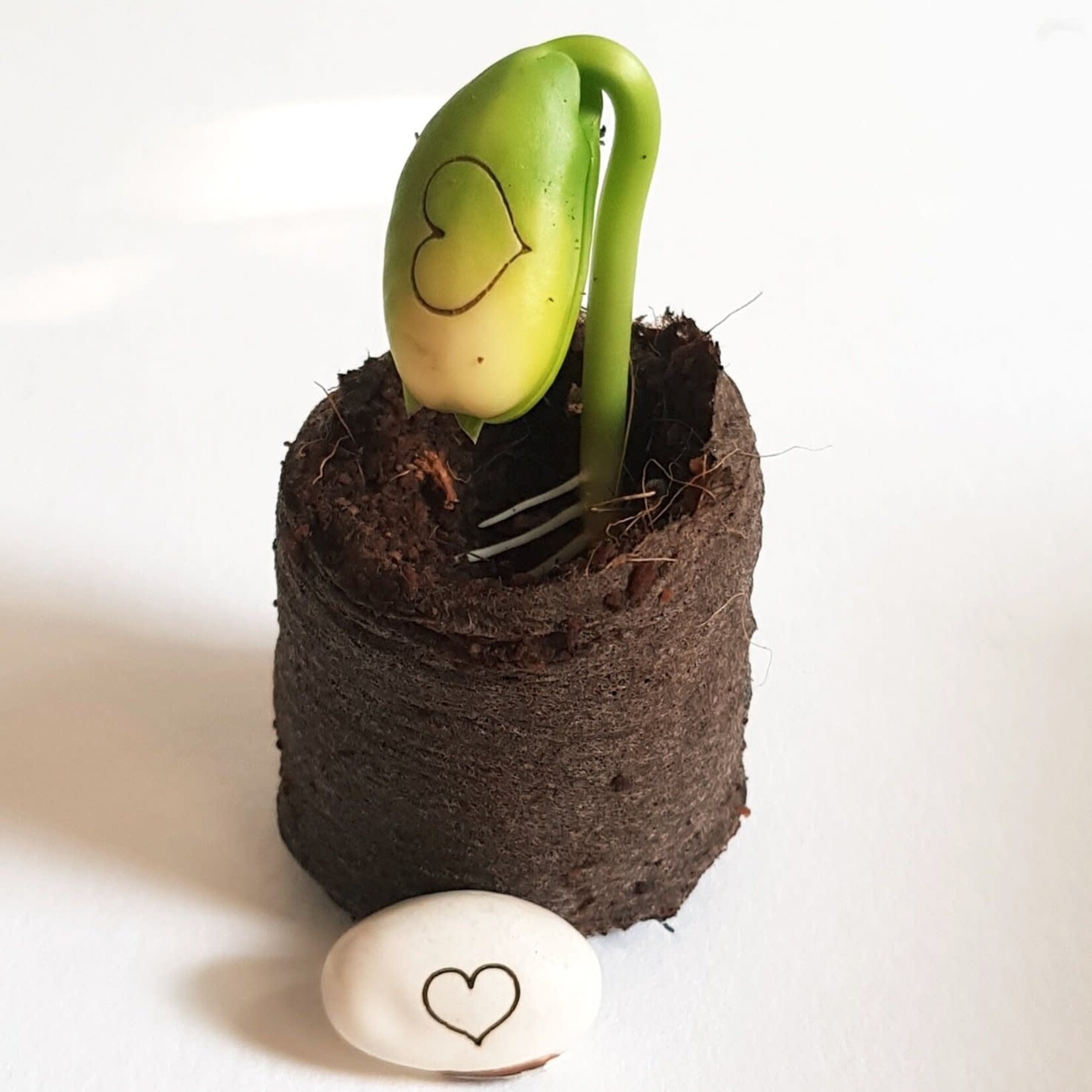 Kop op! Zakje vol wensen (love u) (to the moon) (and back) - van 10,99 voor