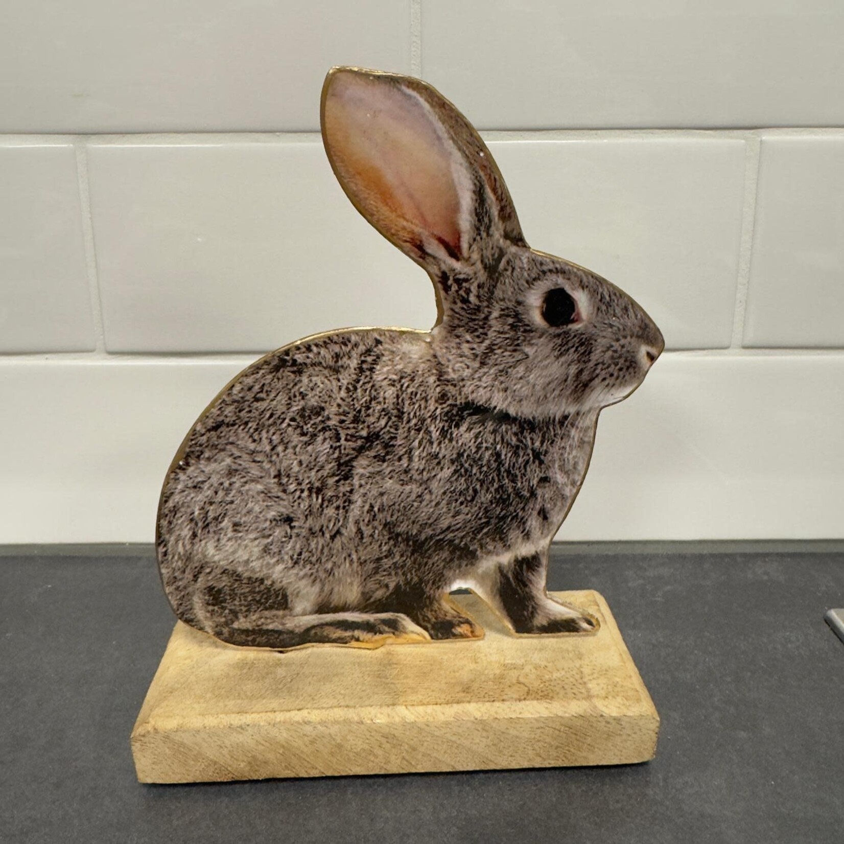 Konijn Decoratie M van 8,99 voor