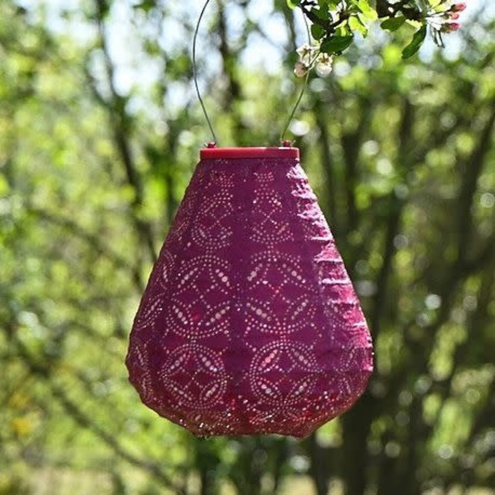 LUMIZ Lumiz Solar Lampion Tulip Mandela Fuchsia