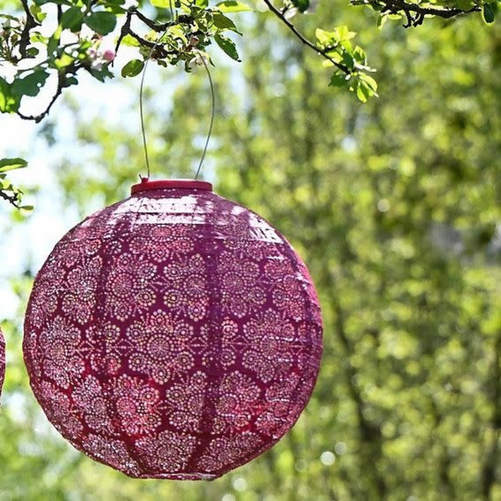 LUMIZ Lumiz Solar Lampion Round 30 Fiore Fuchsia