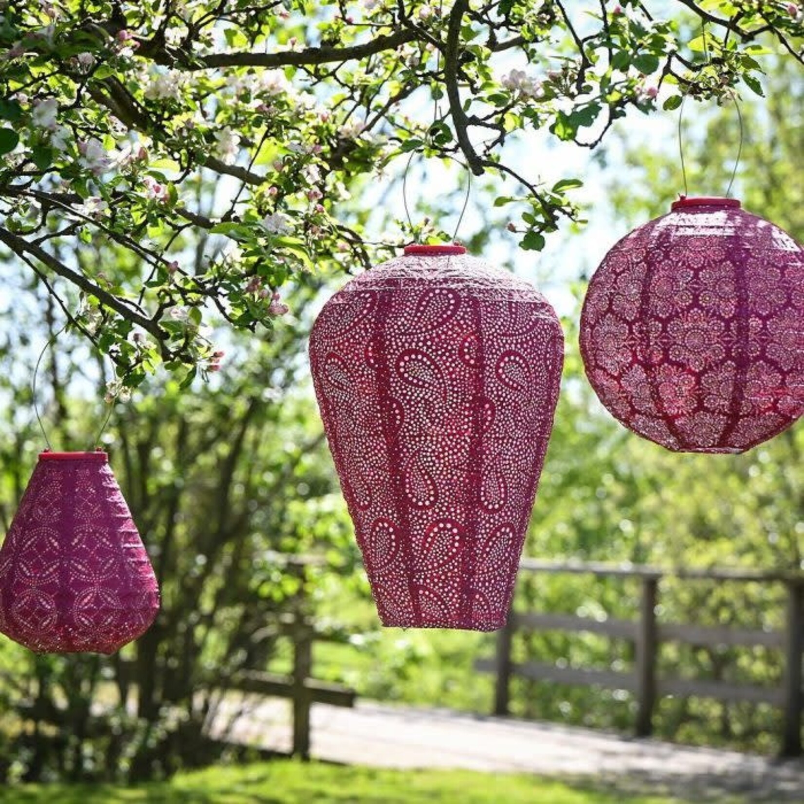 LUMIZ Lumiz Solar Lampion Round 30 Fiore Fuchsia