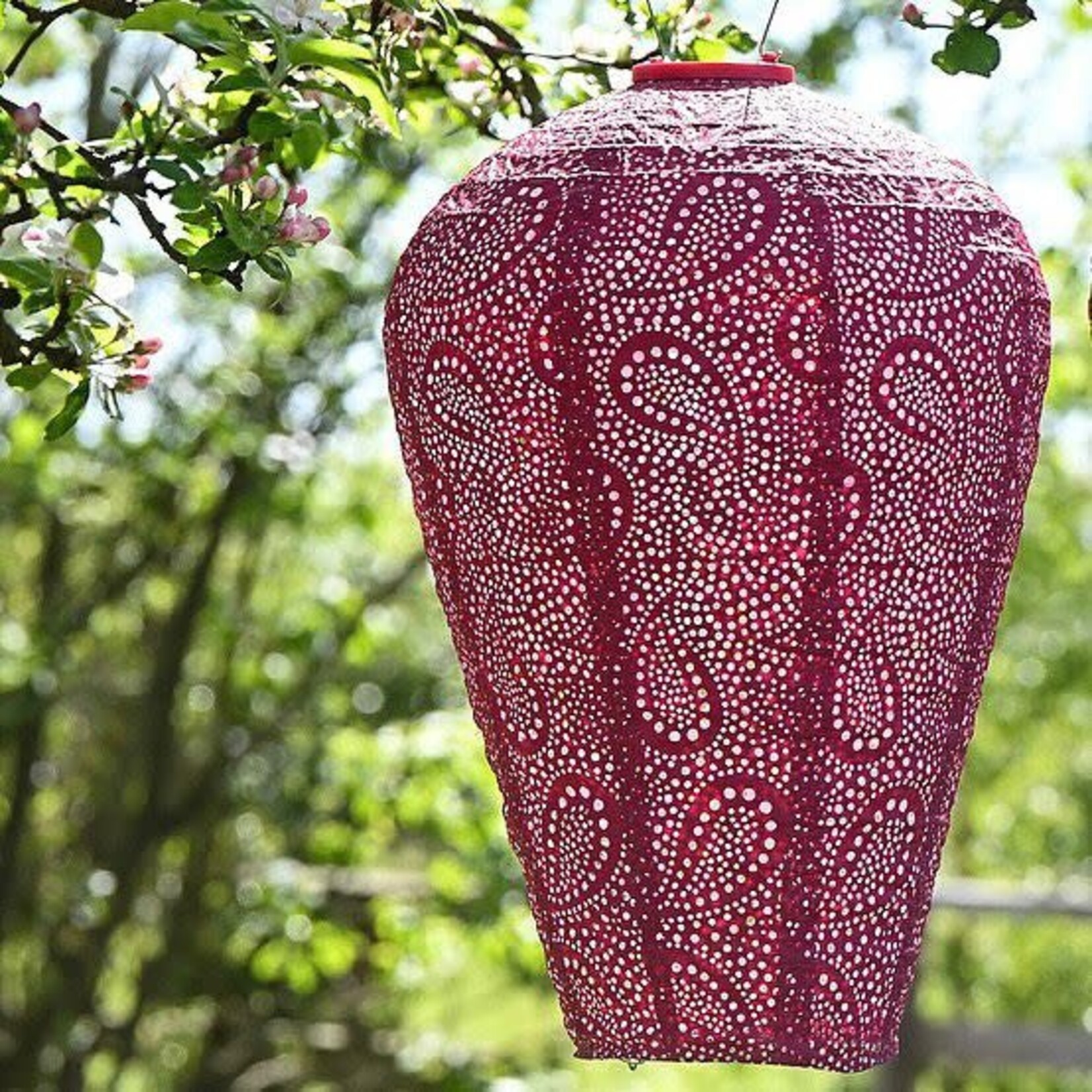 LUMIZ Lumiz Solar Lampion Balloon 35 Paisley Fuchsia