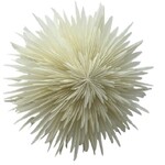OnlyNatural Ambient Lampe M - Witgrijs