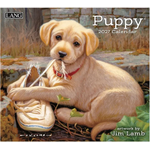 LANG LANG kalender Puppy 2027