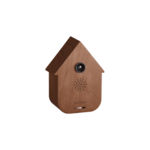 Present Time Sound Box Modern Cuckoo Dark Wood