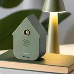 Present Time Sound Box Modern Cuckoo Jungle Green