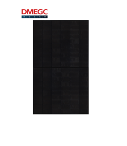 DMEGC DMEGC 395 Wp Full Black Half Cell