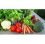 Groente en moestuin