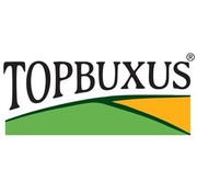 Topbuxus