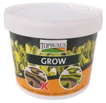 Topbuxus TOPBUXUS Grow
