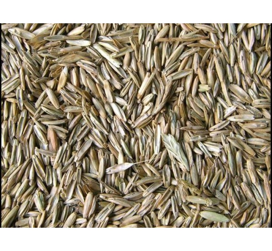 Barenbrug Schaduw 15 kg Shadow