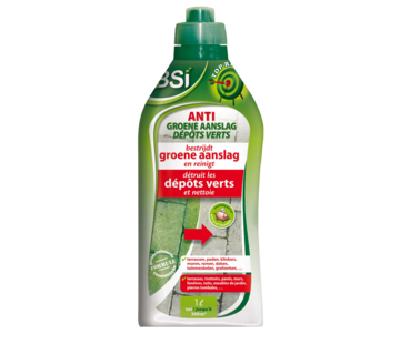 BSI BSi Turbo Anti- groen & Alg 1 ltr
