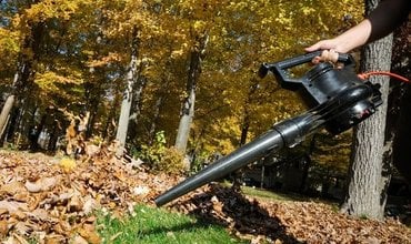 Herfst = Bladeren op het Gazon