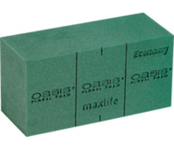 Oasis Floral Oase Economy - 6 stuks