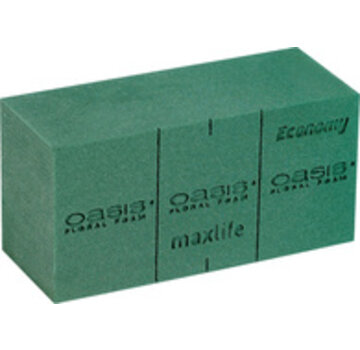 Oasis Floral Oase Economy - 6 stuks