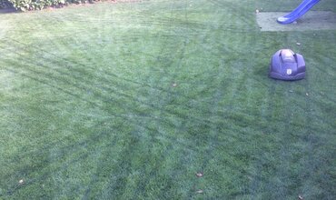 Begin volgende maand met het analyseren van de bodem, kalk te strooien