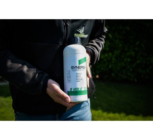 SYNERGY SYNERGY GREEN 1 en 10 liter
