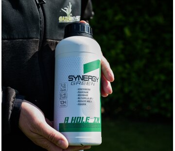 SYNERGY SYNERGY GREEN (1 en 10L)