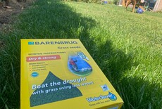 Jaarconcept - Droogte bestendig Gazon