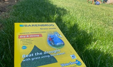Jaarconcept - Droogte bestendig Gazon