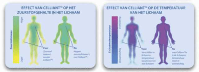 Reflexwear Diabetes sokken - dun - naturel