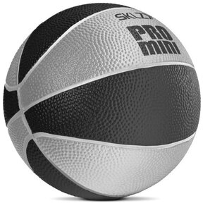 Pro Mini Hoop Foam Bal - Zwart/Zilver