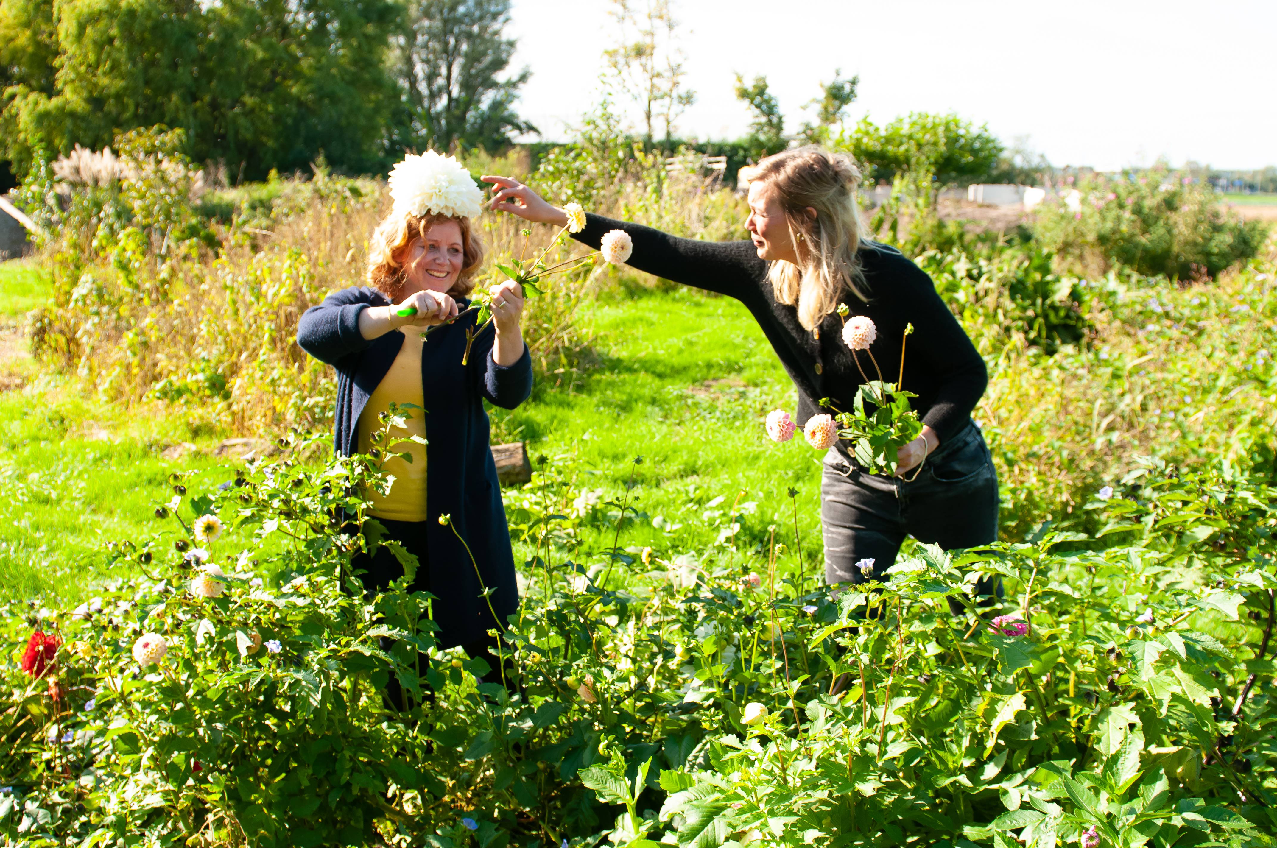 VERGEET-JE-NOOIT-MEER-1