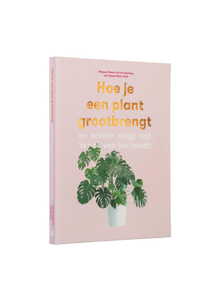 Hoe je een plant grootbrengt