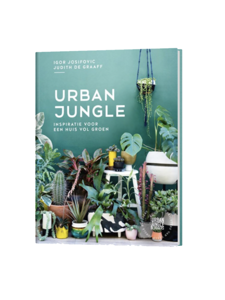 Urban jungle