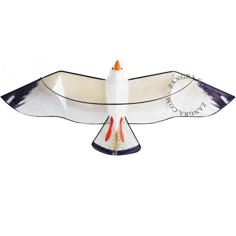 Zangra Kite seagull 3D