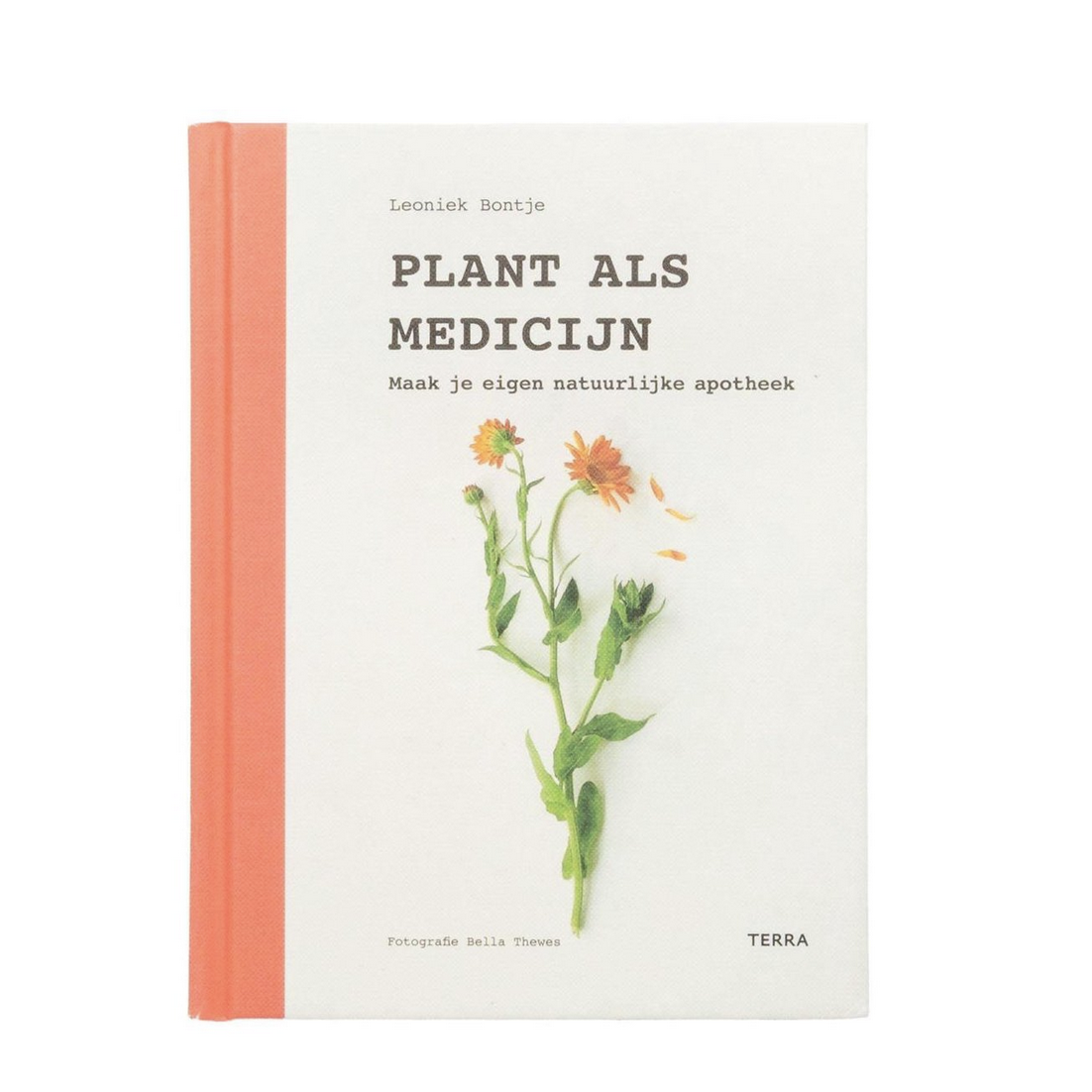 Plant als medicijn