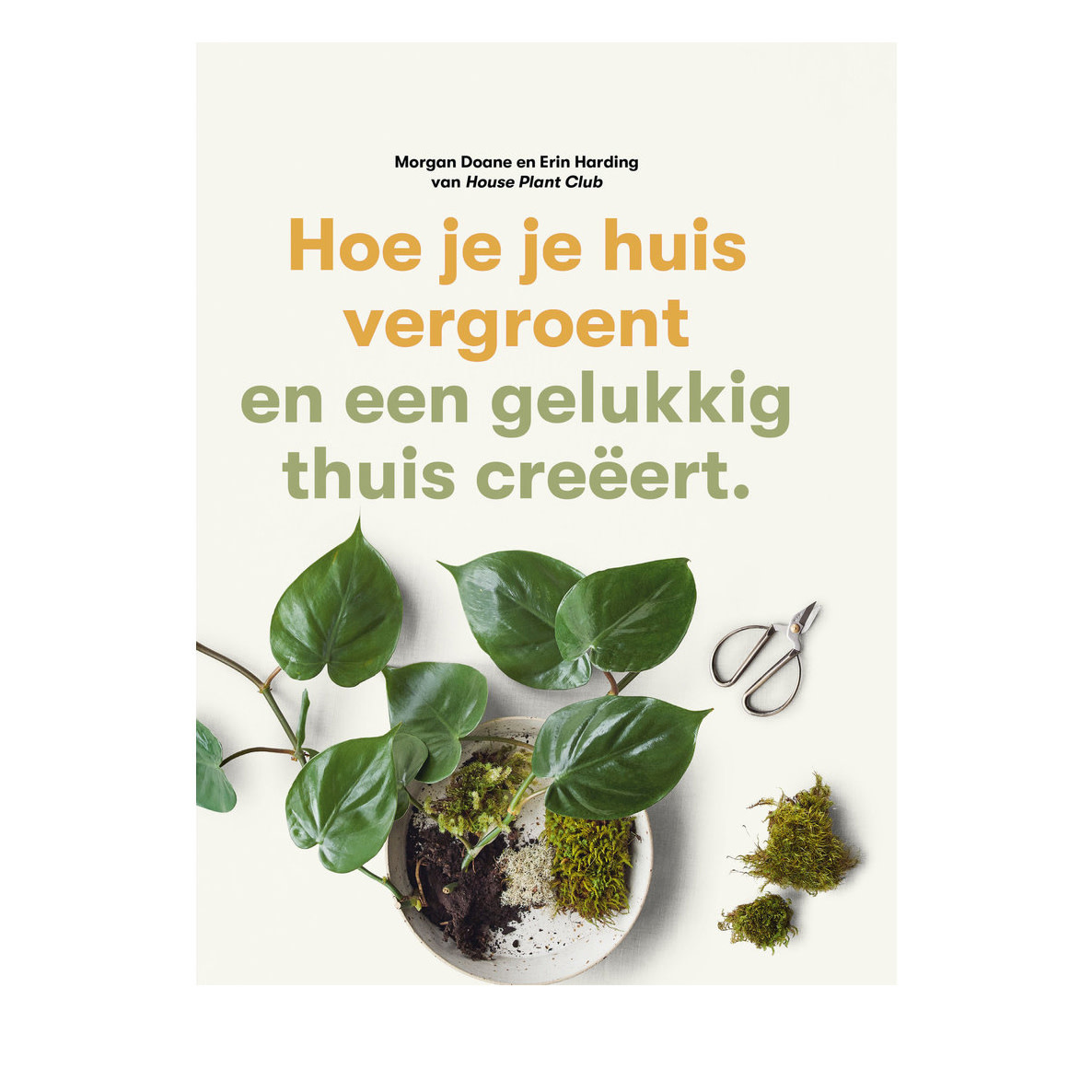 Hoe je je huis vergroent