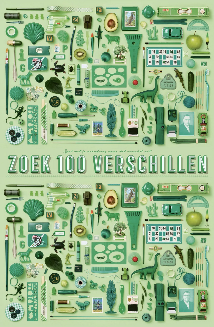 Stratier XL-spelposter 65x100cm 100 verschillen groen