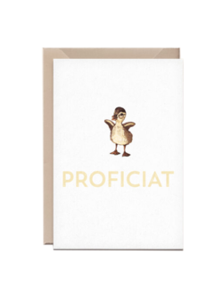 Kathings Wenskaart eendje proficiat