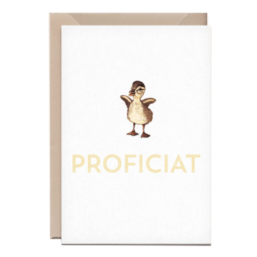 Kathings Wenskaart eendje proficiat