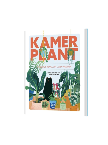 Kamerplant je indoor jungle in leven houden