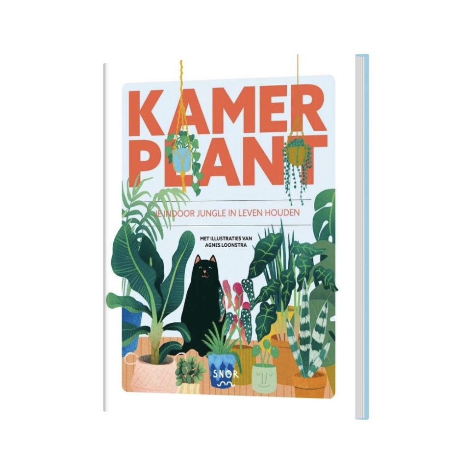 Snor Kamerplant je indoor jungle in leven houden
