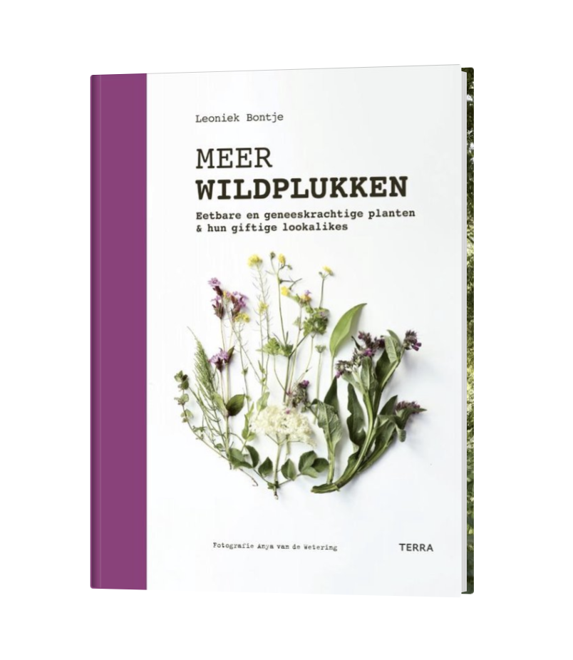 Meer wildplukken