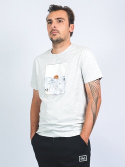 The Vandal T-shirt stelvio cream heather grey