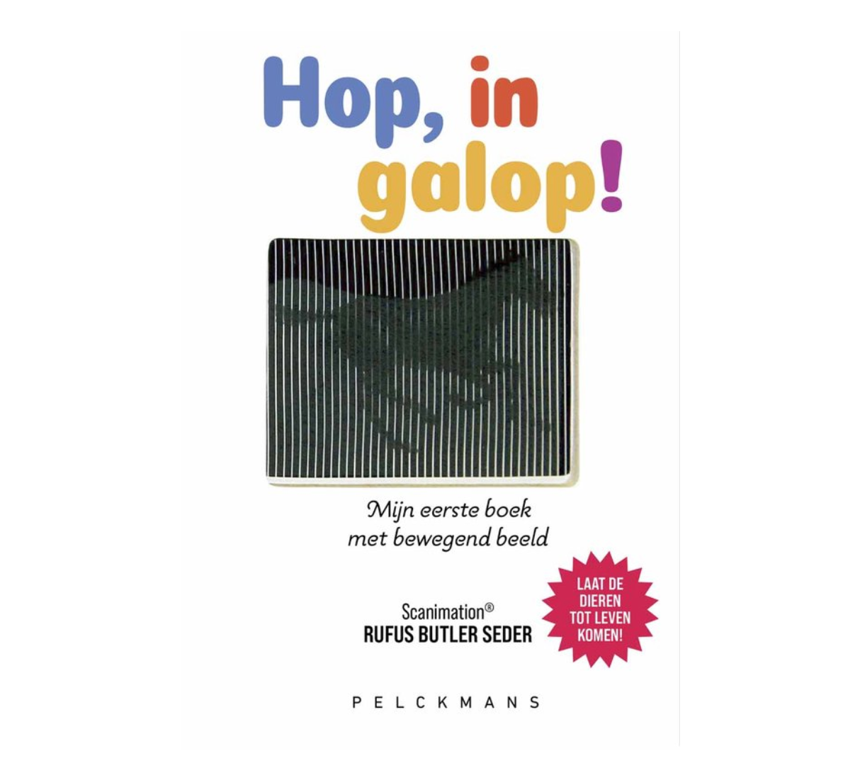 Stratier Hop, in galop