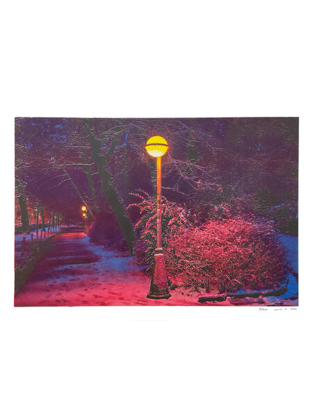 Nora Dekoning Riso print stadspark in kader 33x45cm