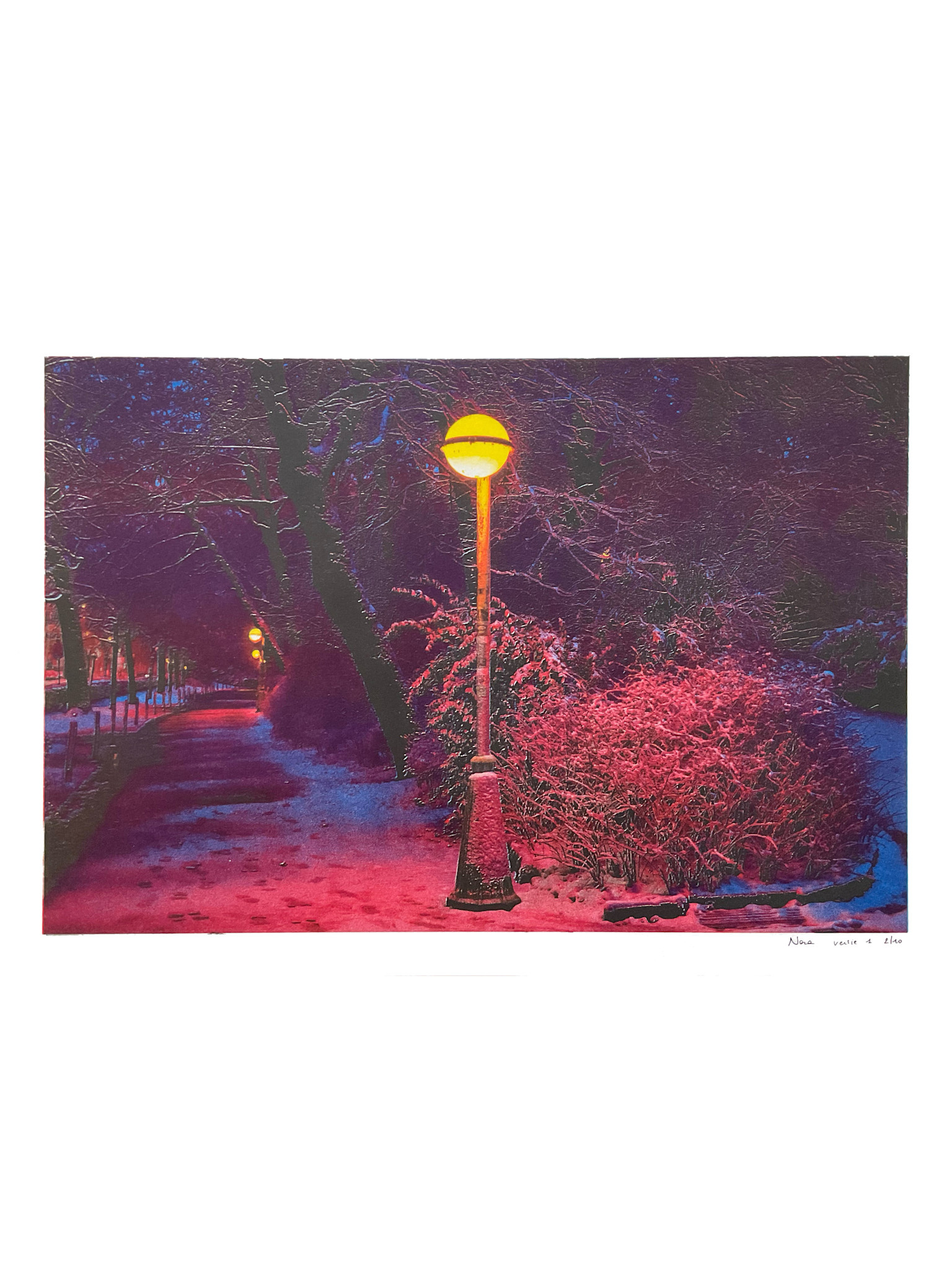 Nora Dekoning Riso print stadspark in kader 33x45cm