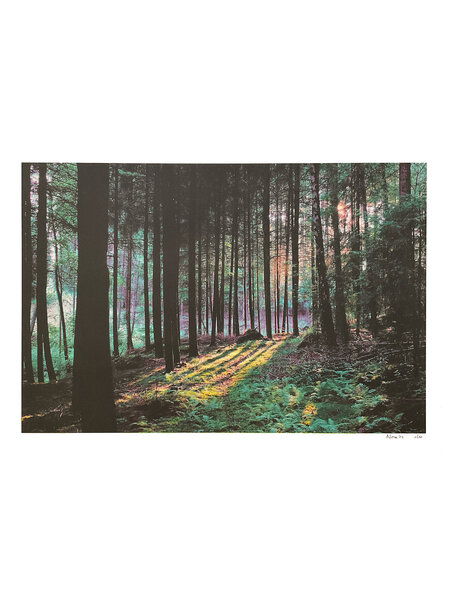 Nora Dekoning Riso print mullerthal in kader 33x45cm