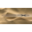 RSPro - Rail Saver Xtreme 150x5cm - Clear